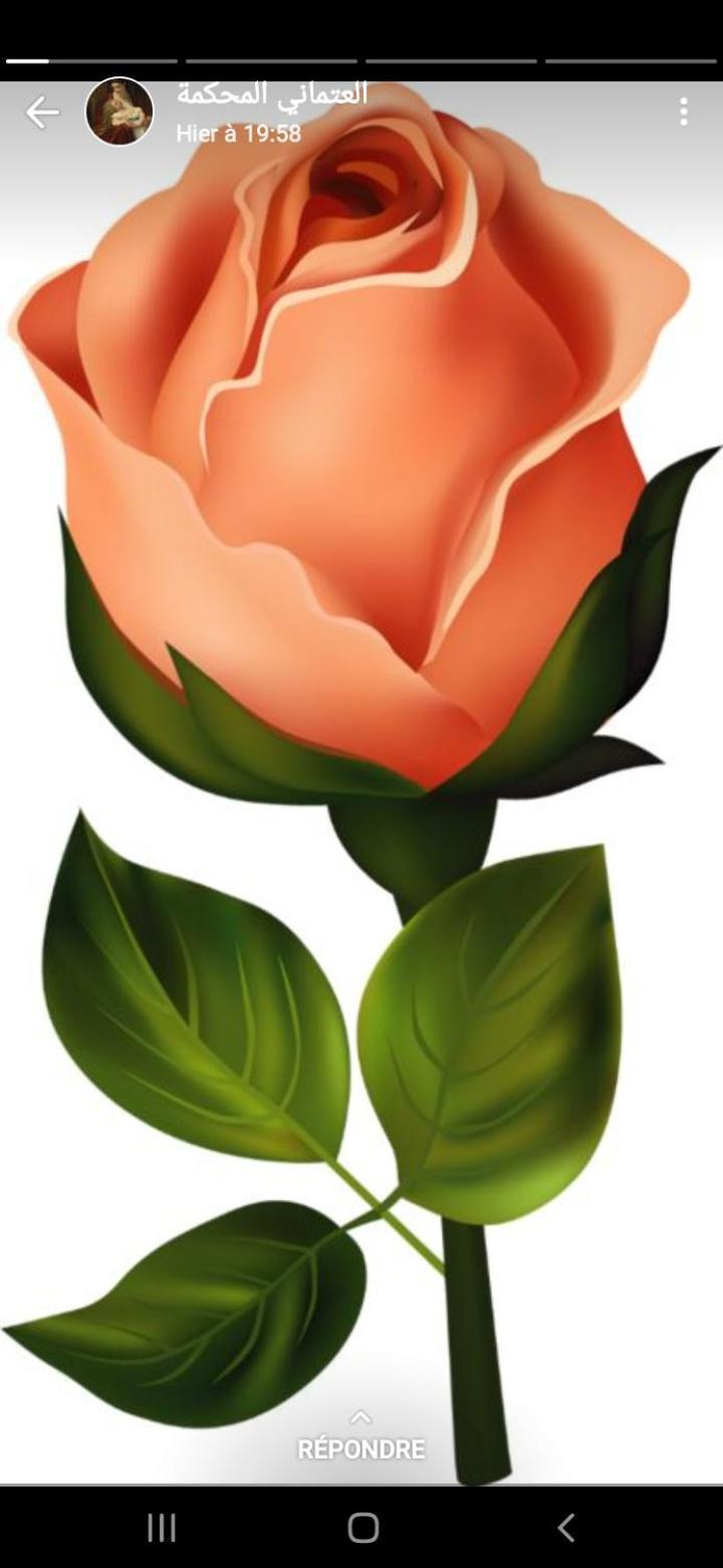 La Rose Blanche Hotel Zaouia Ben Smine Kültér fotó